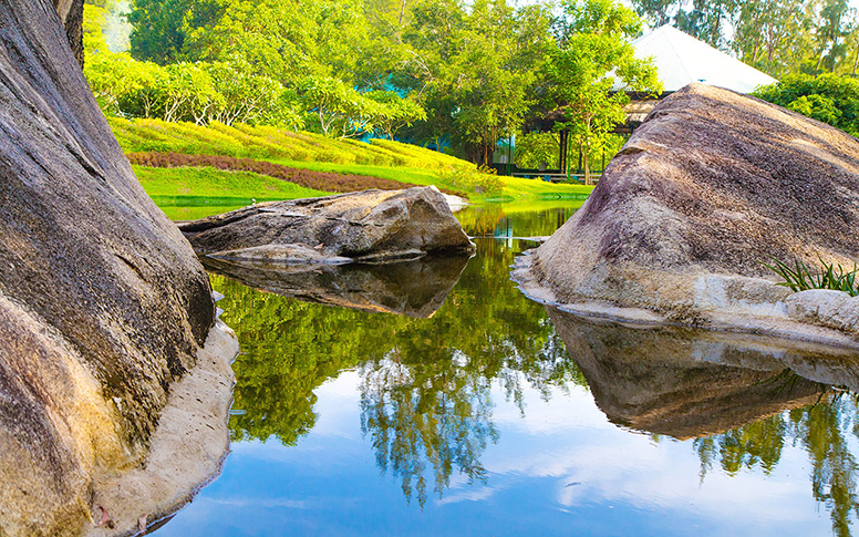 Beautiful Nature