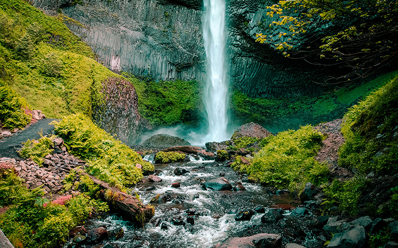 Beautiful Nature